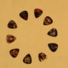 Guns N' Roses Guitar Picks