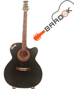 Signature Topaz Roghu Loud Series (Bose Enterprise Premium)