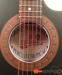 Signature Topaz Roghu Loud Series (Bose Enterprise Premium)