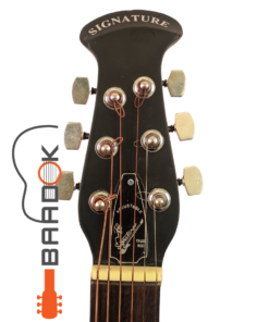 Signature Topaz Roghu Loud Series (Bose Enterprise Premium)