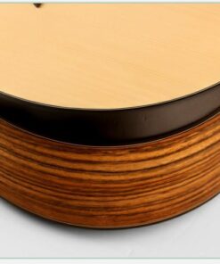 Deviser L-570-41 Acoustic Guitar