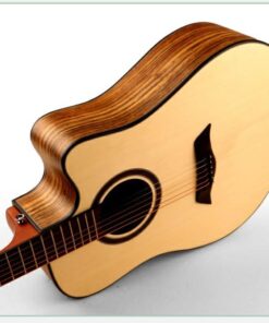 Deviser L-570-41 Acoustic Guitar