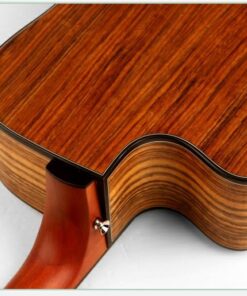 Deviser L-570-41 Acoustic Guitar