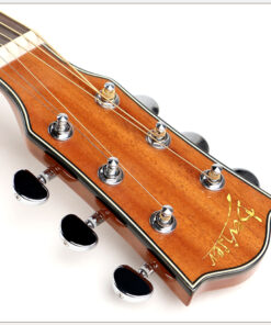 Deviser L2-720A Acoustic Guitar