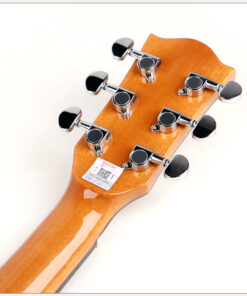 Deviser L2-720A Acoustic Guitar