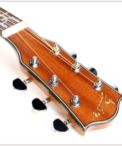 Deviser L2-720B Acoustic Guitar