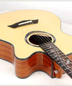 Deviser L2-720B Acoustic Guitar