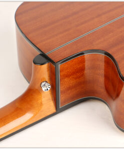 Deviser L2-720B Acoustic Guitar