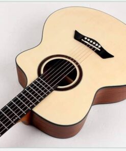 Deviser LS-120-40 Acoustic Guitar