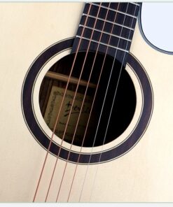 Deviser LS-160N Acoustic Guitar