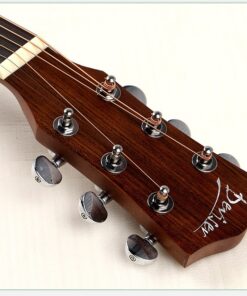 Deviser LS-160N Acoustic Guitar
