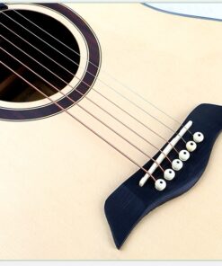 Deviser LS-160N Acoustic Guitar