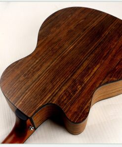 Deviser LS-160N Acoustic Guitar