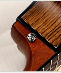 Deviser LS-160N Acoustic Guitar