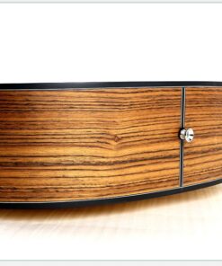 Deviser LS-160N Acoustic Guitar