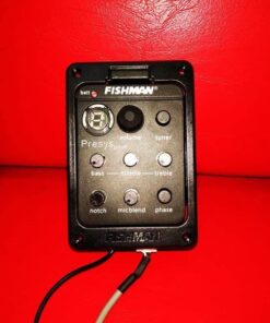 Fishman Equalizer with Tuner