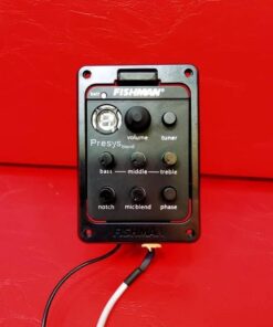 Fishman Equalizer with Tuner