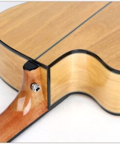 Deviser L-710B Acoustic Guitar