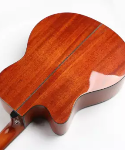 Deviser L-725A Acoustic Guitar New Edition®