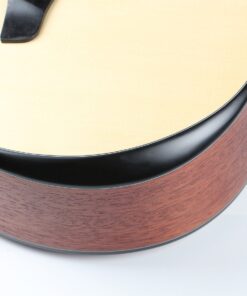 Deviser Ls 560-40 Acoustic Guitar