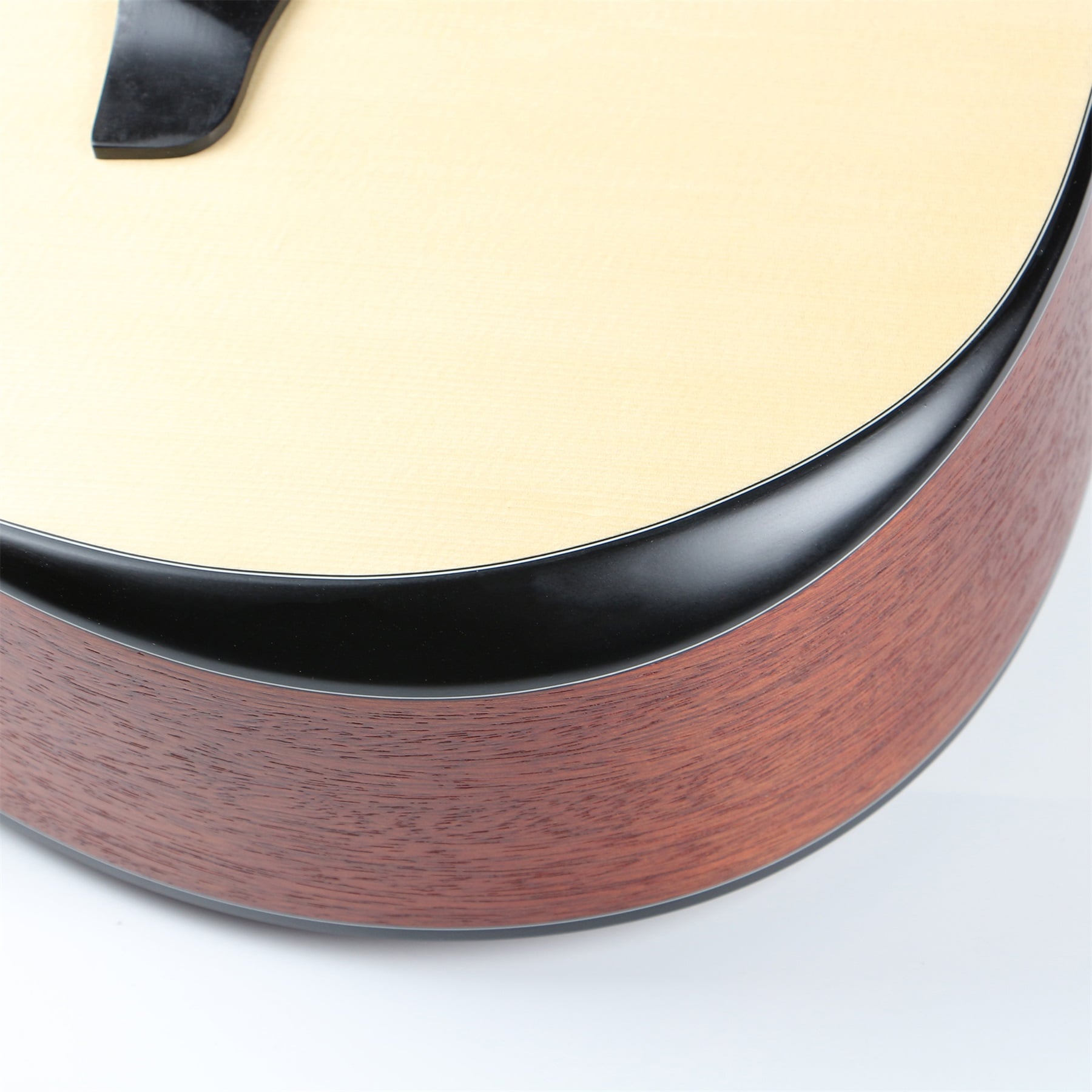 Deviser Ls 560-40 Acoustic Guitar Deviser Ls 560-40 Acoustic Guitar