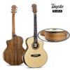 Tayste TS-J34-A Premium Acoustic Guitar