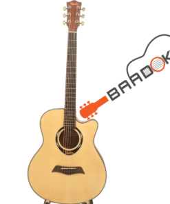 Tayste L-720A Pure Acoustic Guitar