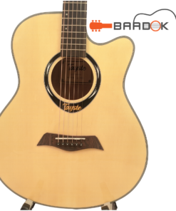 Tayste L-720A Pure Acoustic Guitar