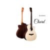 Chard F4090C Premium Pure Acoustic Guitar