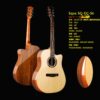 SQOE SQ-DC-SK Premium Acoustic Guitars